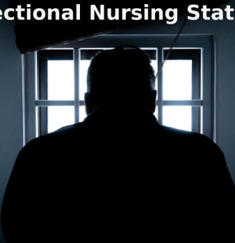Travel Correctional Nursing Statistics Q5fu10k018hi5uh3x6ss1hzhhpe0n3cerdac2d9kq4 
